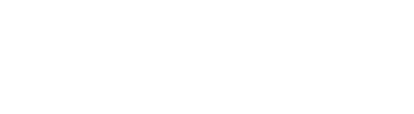 ForBrowser – Digital forensics tool